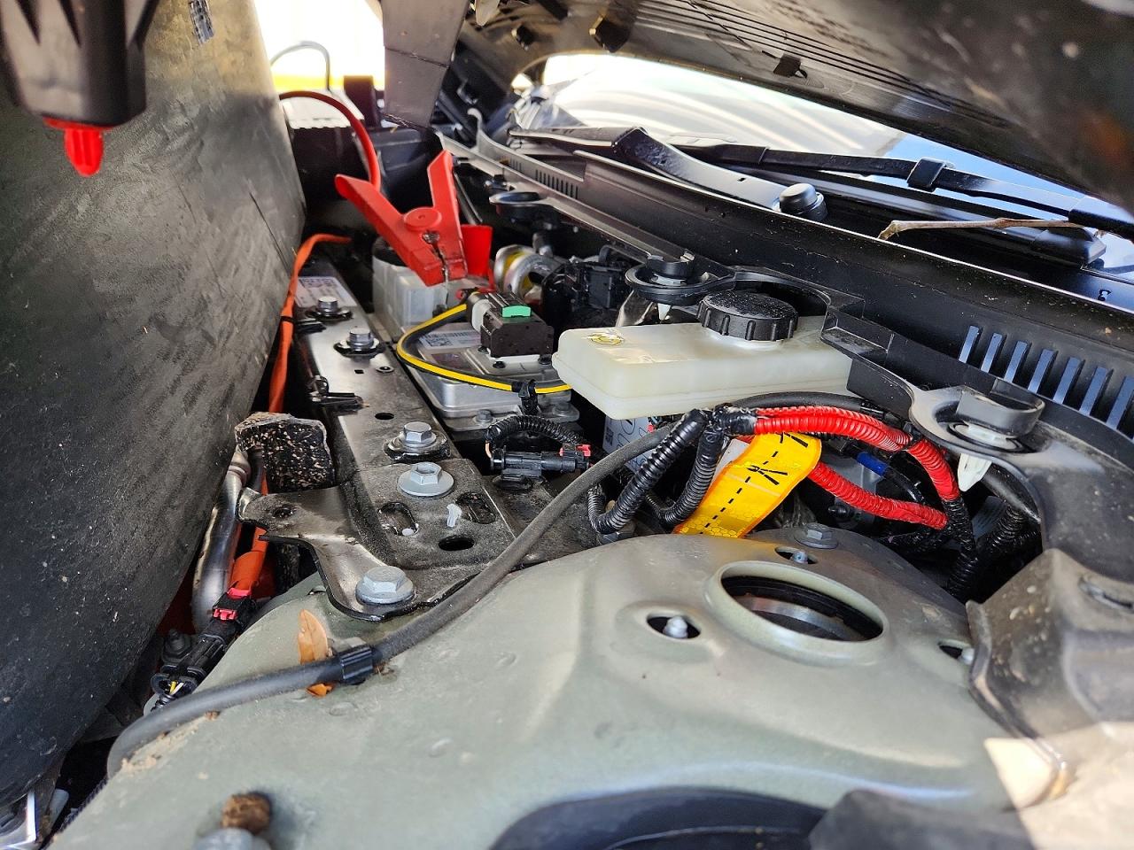 2024 TESLA MODEL 3 photo 21
