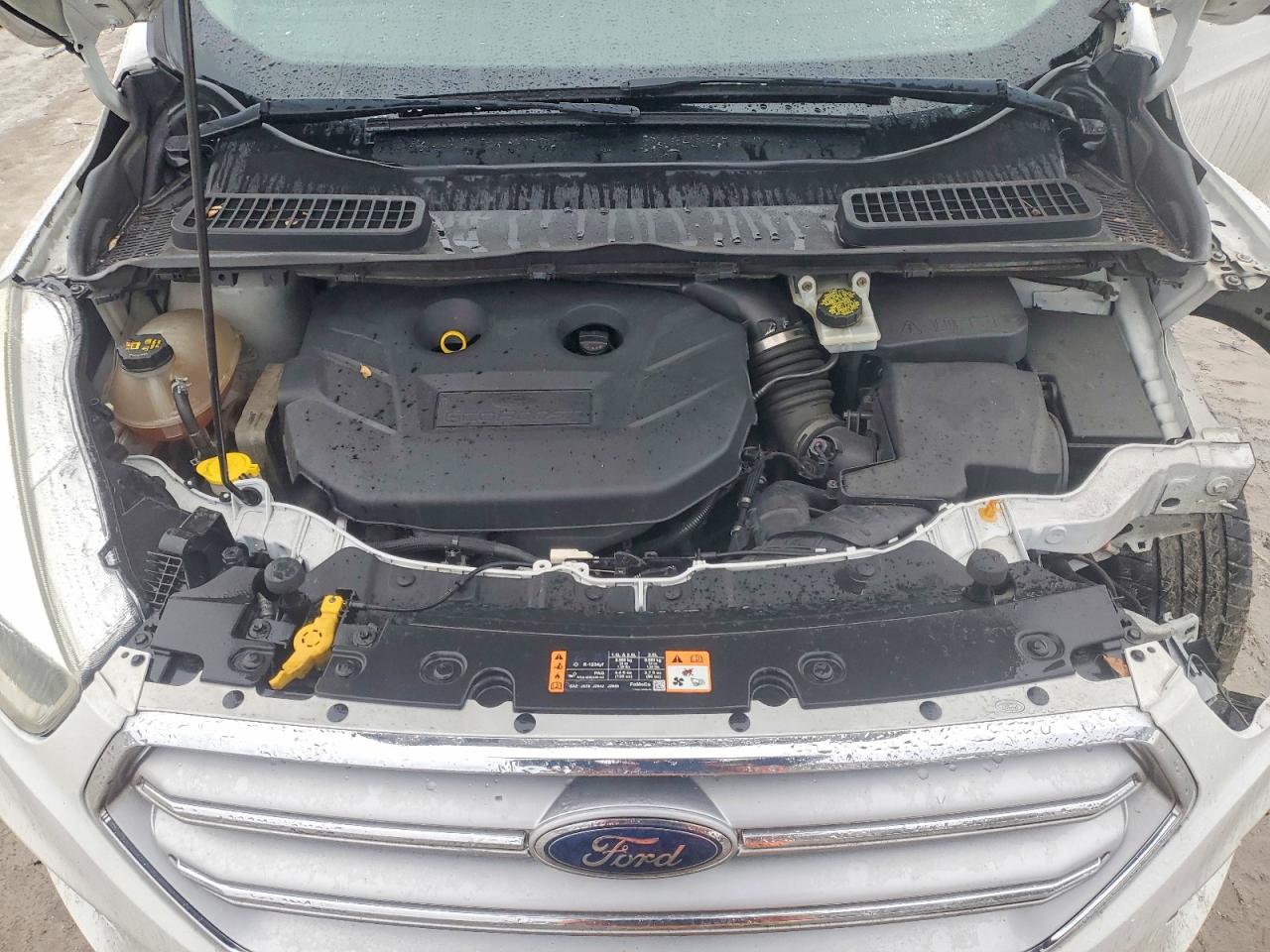 2017 FORD ESCAPE SE photo 12
