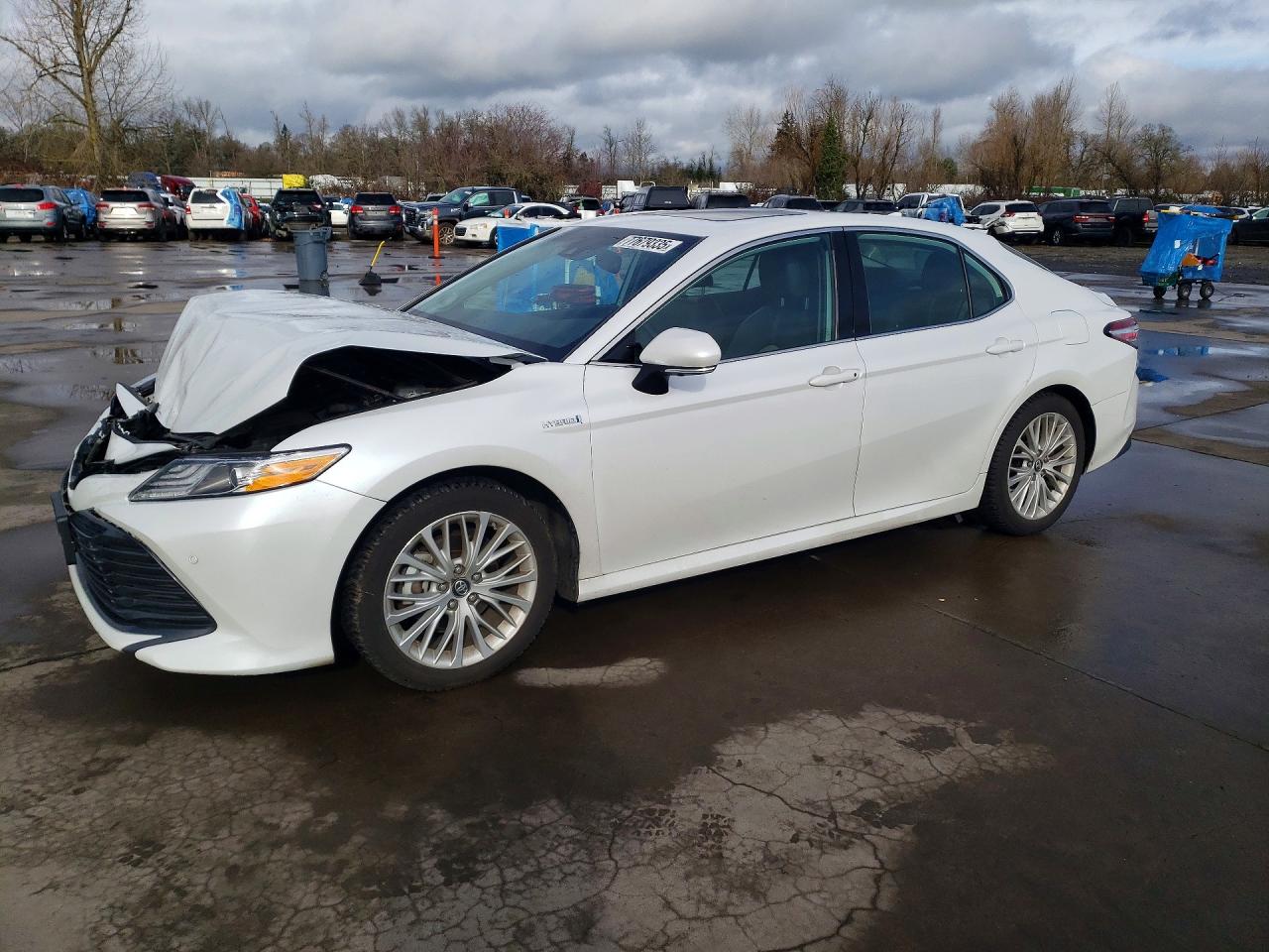 2019 TOYOTA CAMRY