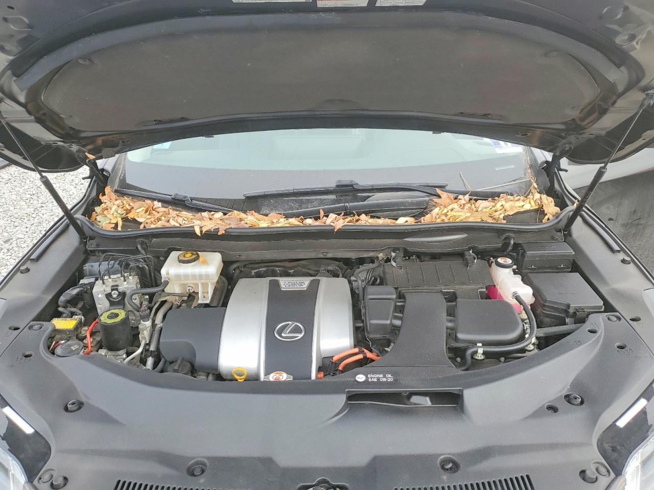 2019 LEXUS RX photo 12