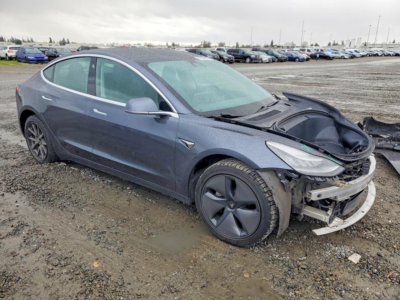 2019 TESLA MODEL 3 photo 7