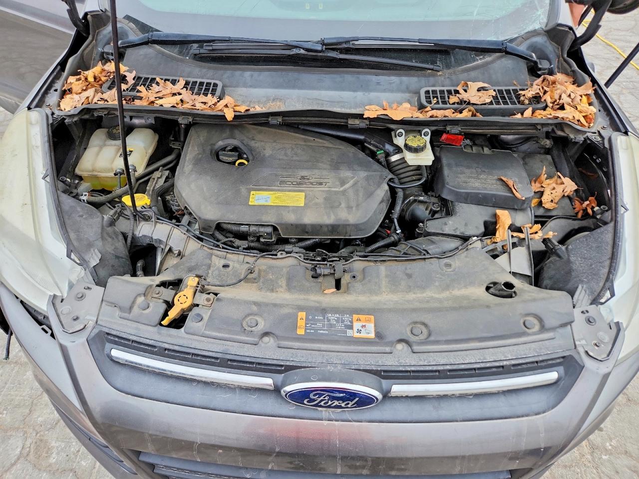 2013 FORD ESCAPE SE photo 23