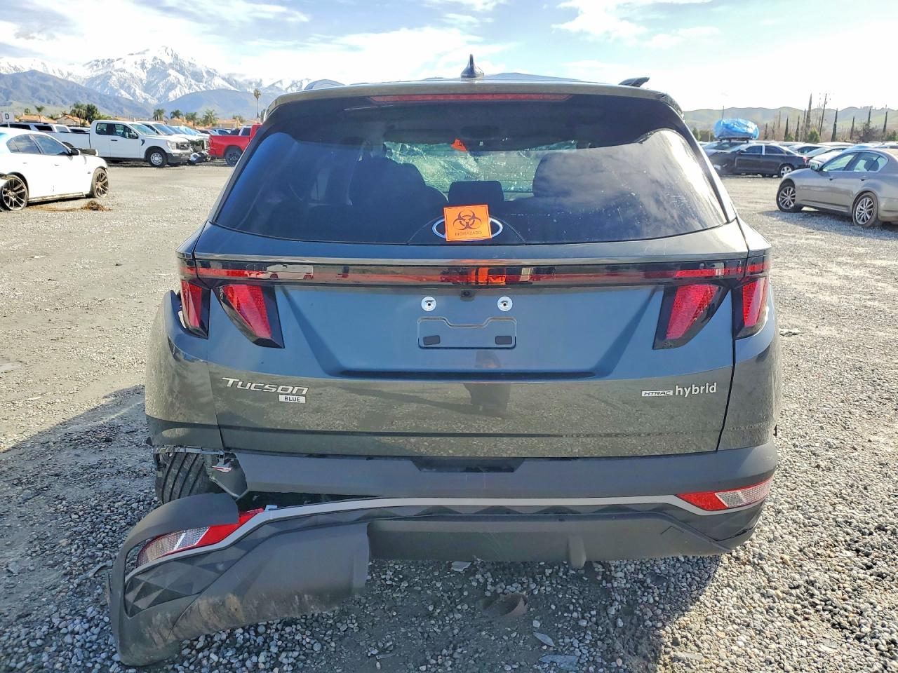 2024 HYUNDAI TUCSON BLUE photo 11