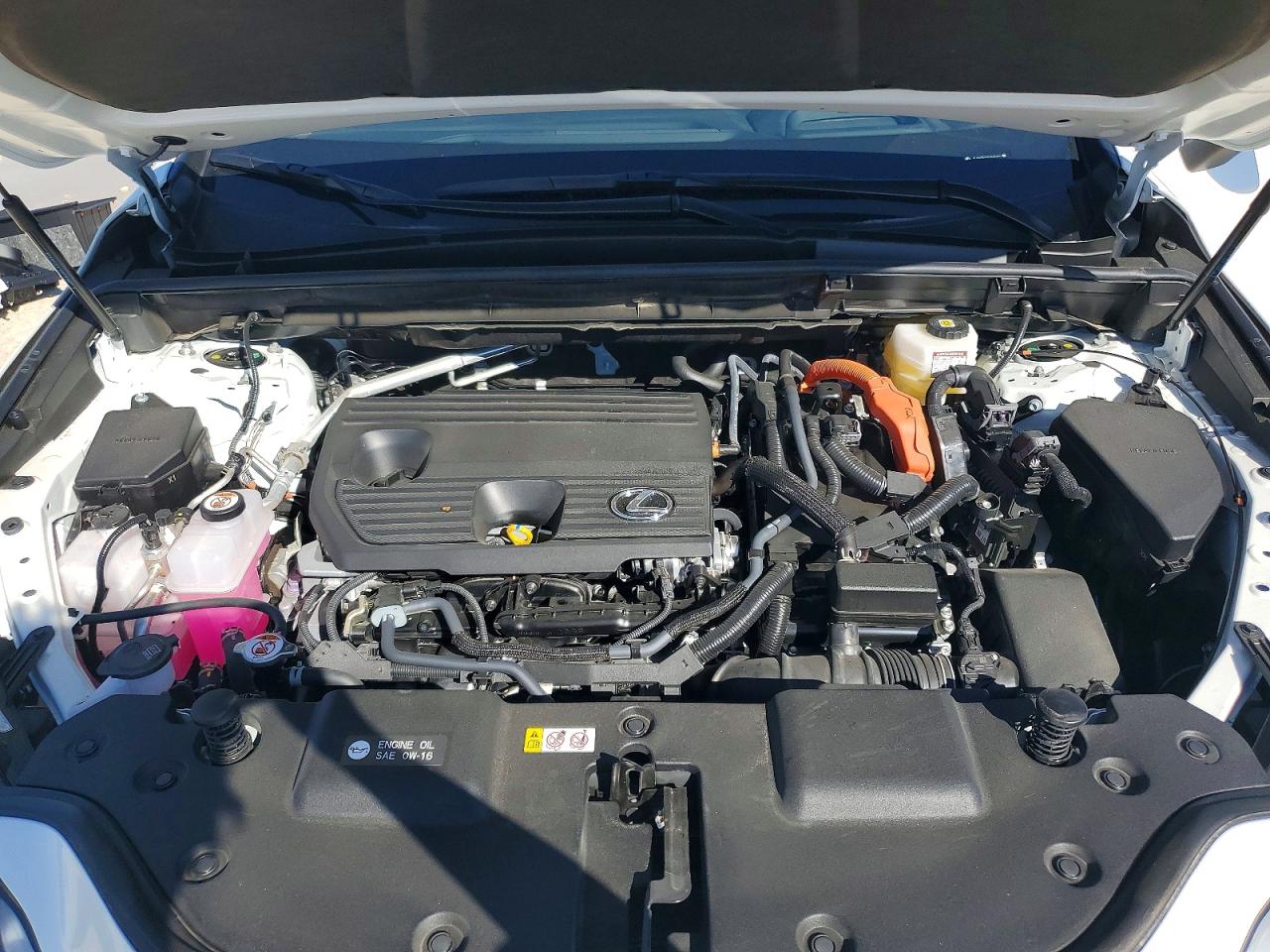2025 LEXUS NX 350H BASE photo 12