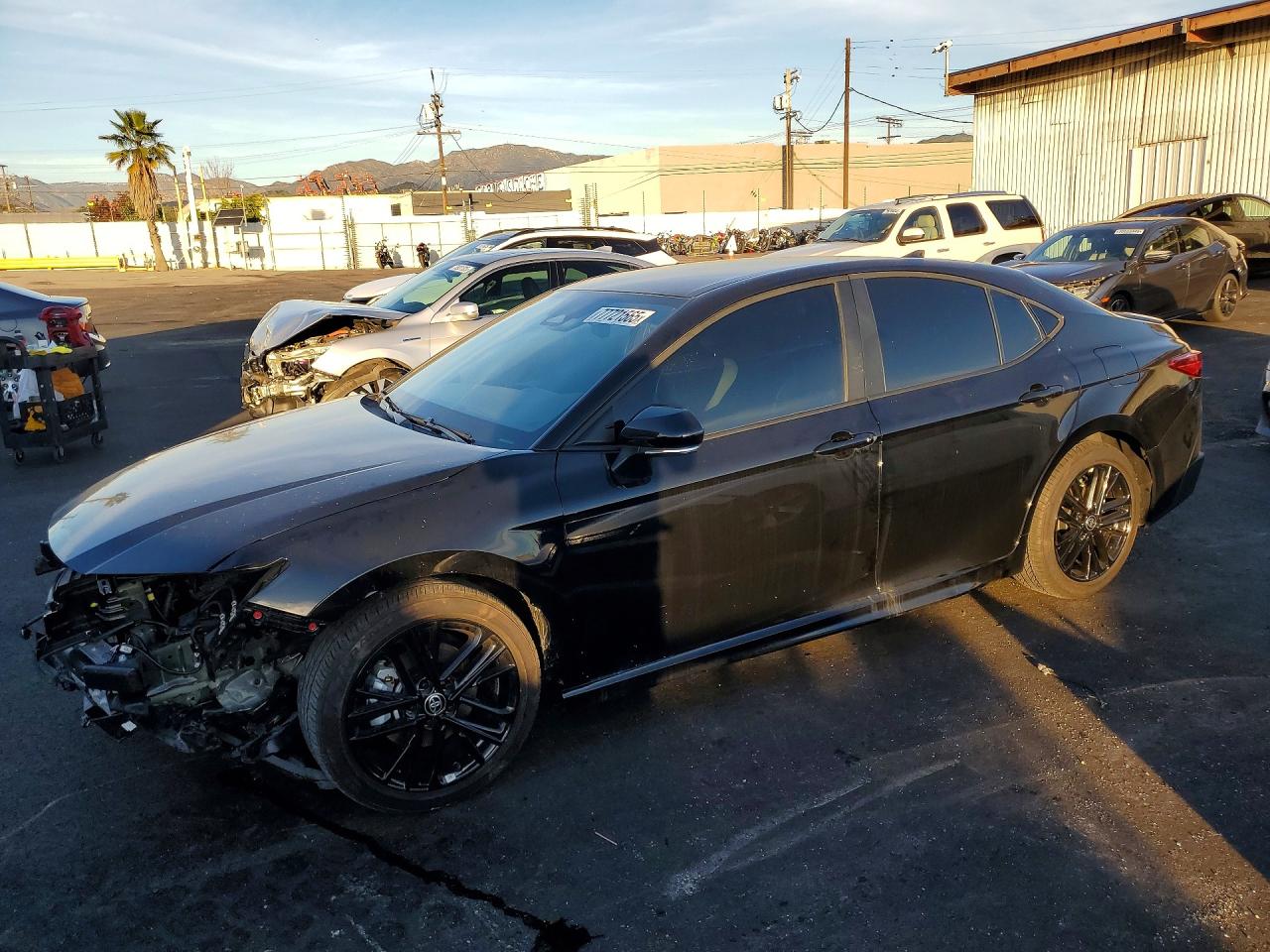 2025 TOYOTA CAMRY