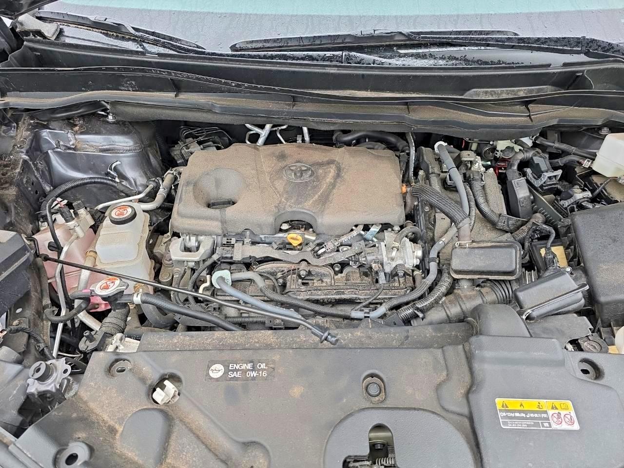 2025 TOYOTA SIENNA LE photo 11