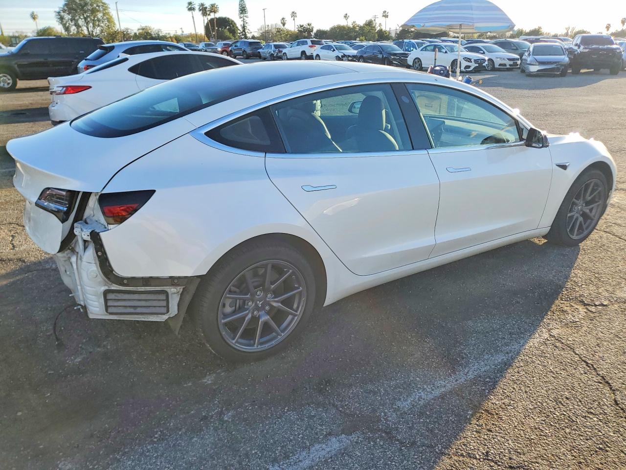 2019 TESLA MODEL 3 photo 3