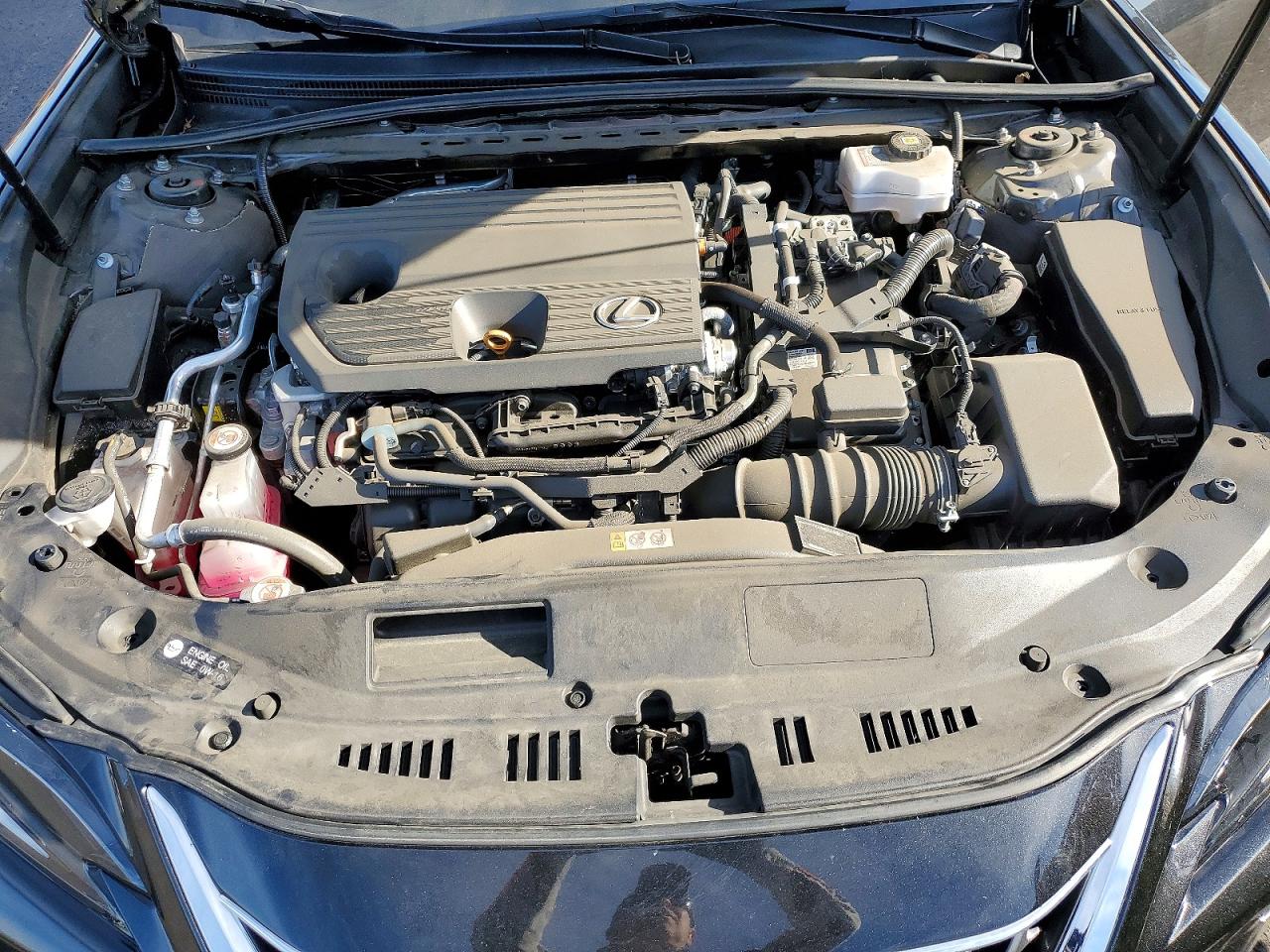 2025 LEXUS ES 300H BASE photo 11