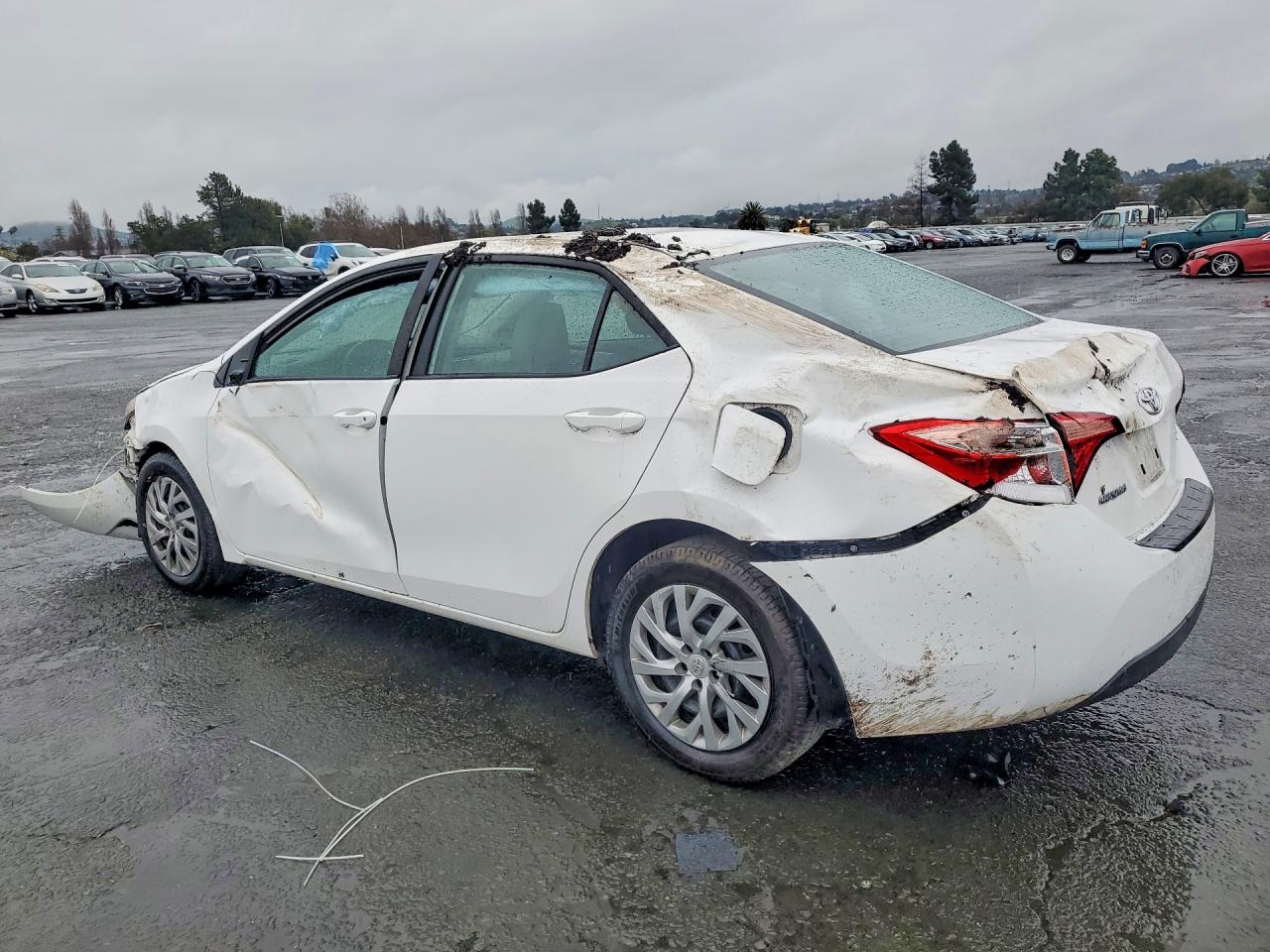 2019 TOYOTA COROLLA LE photo 3