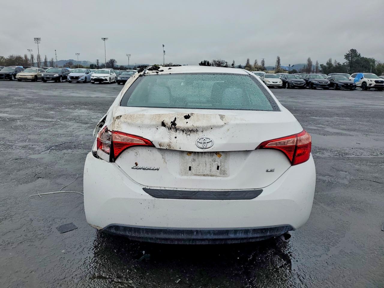 2019 TOYOTA COROLLA LE photo 11