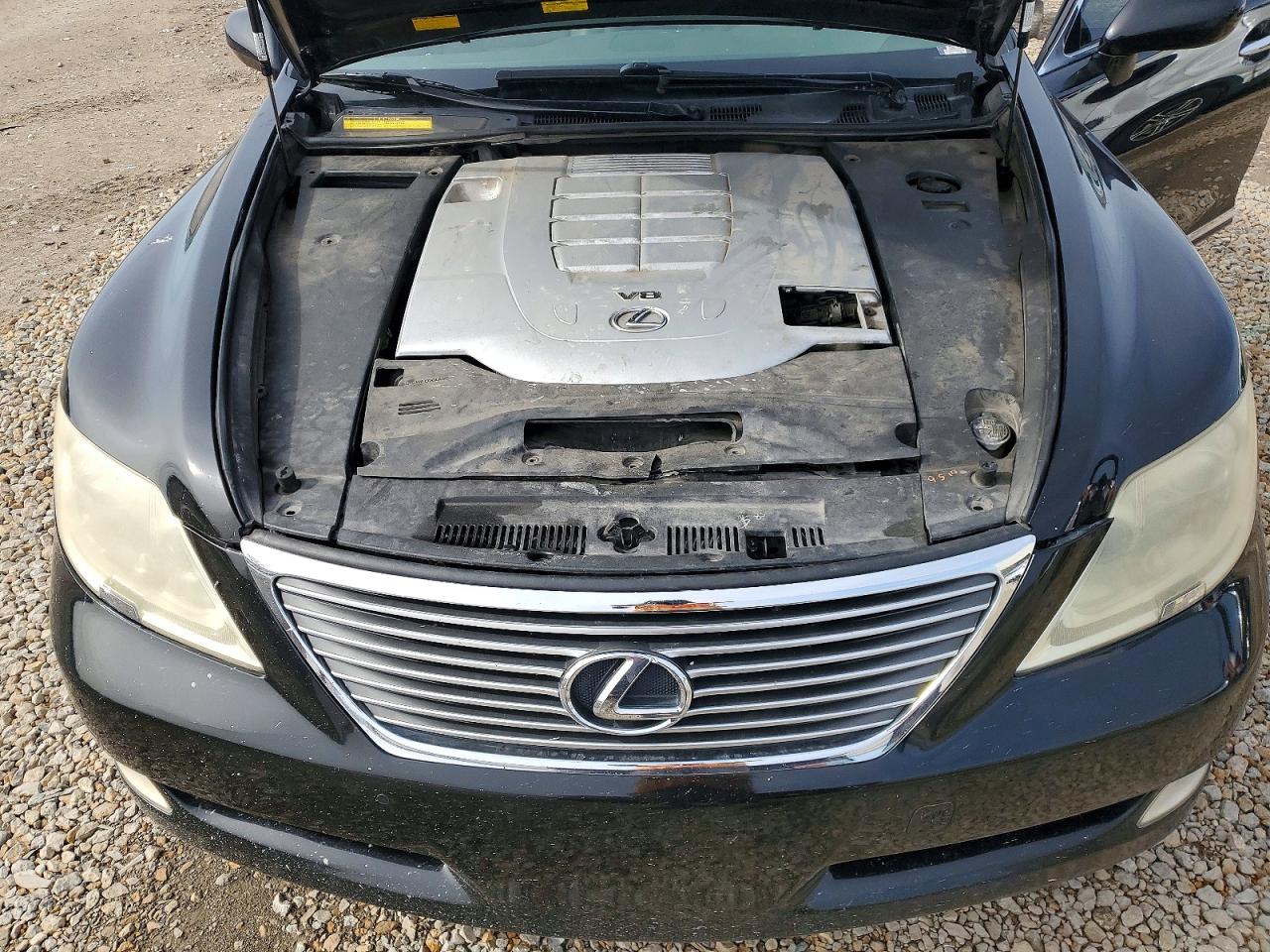 2009 LEXUS LS 460 photo 21