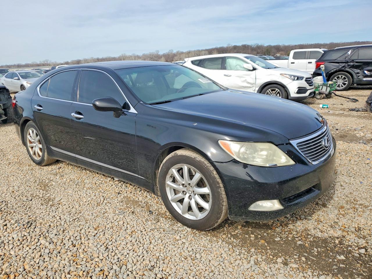 2009 LEXUS LS 460 photo 7