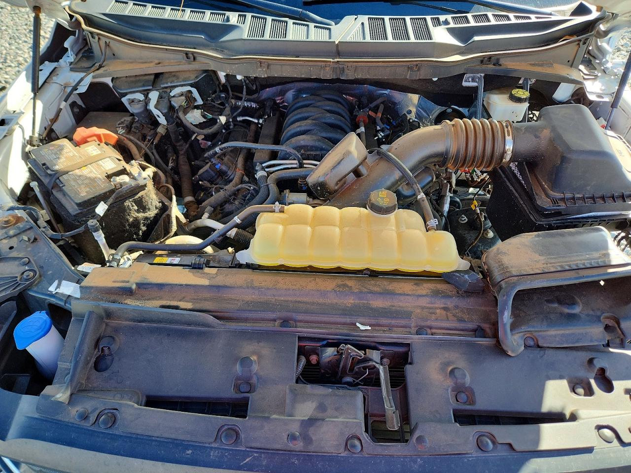 2024 FORD F150 XL photo 11