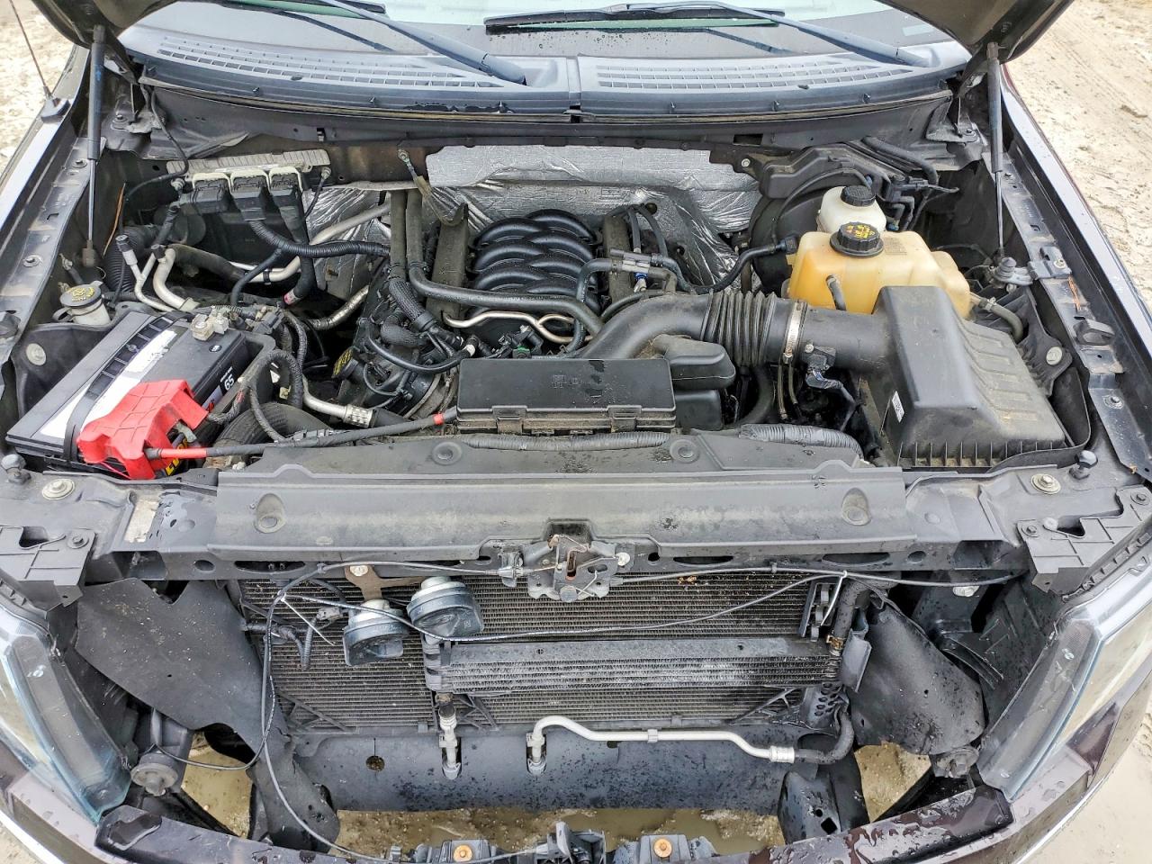 2013 FORD F150 SUPERCREW photo 11