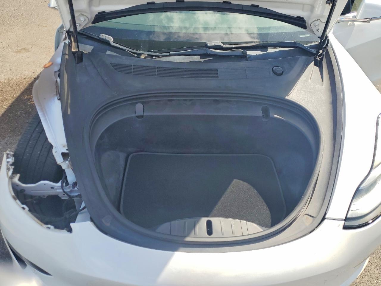 2019 TESLA MODEL 3 photo 11