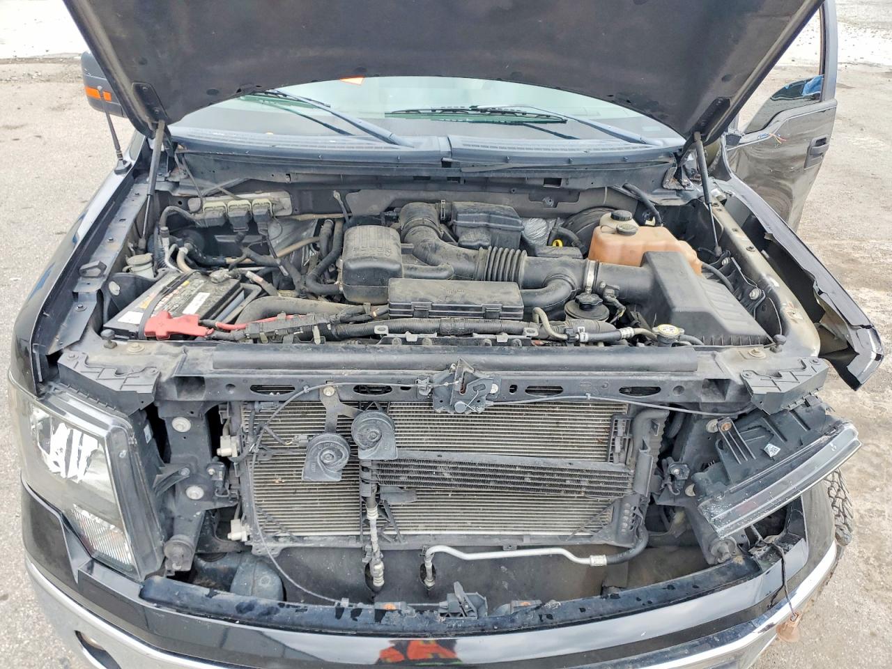 2010 FORD F150 SUPERCREW photo 21