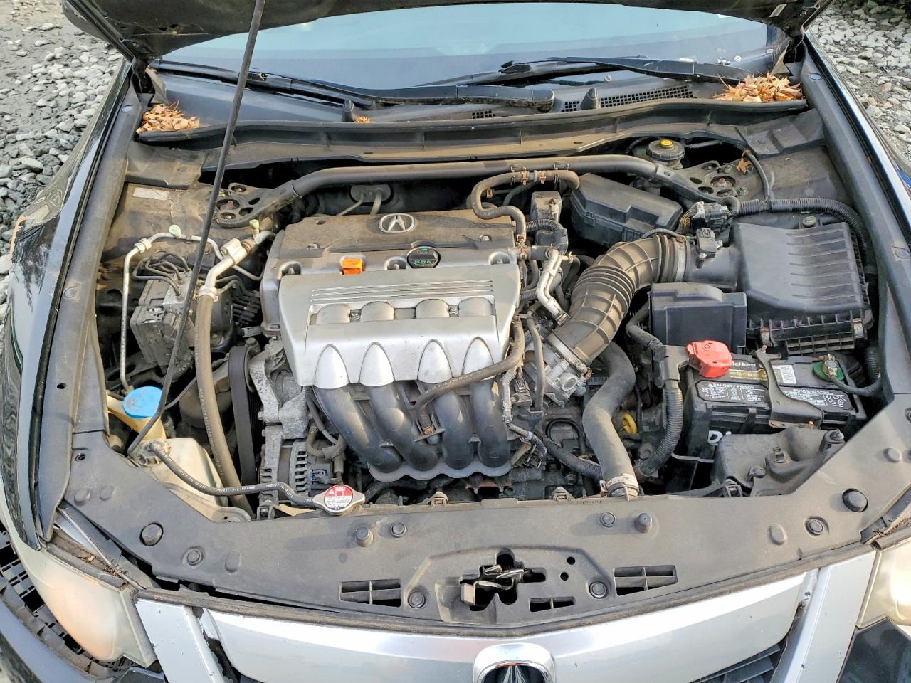 2010 ACURA TSX photo 11