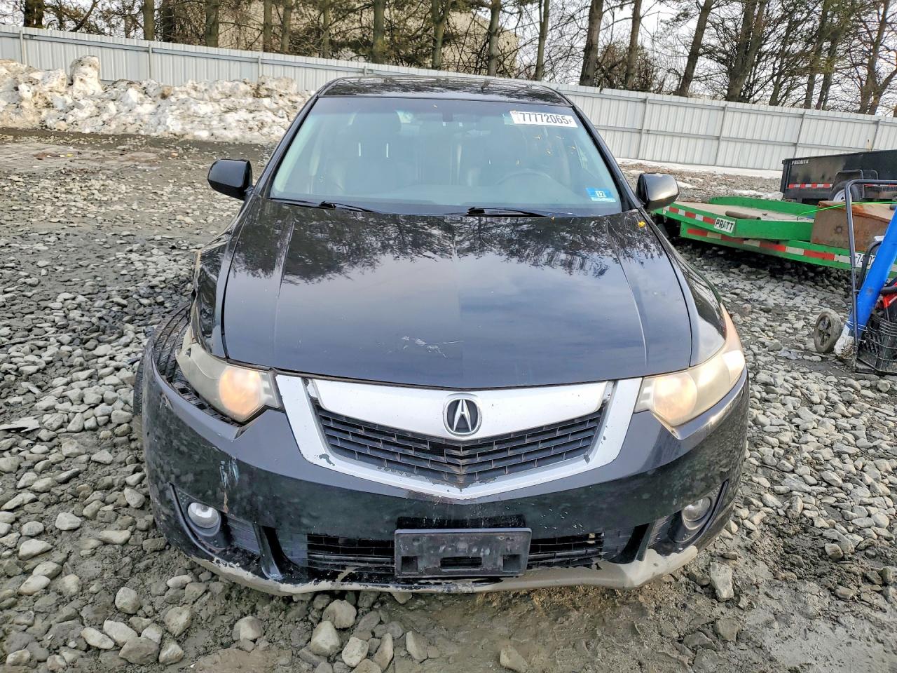 2010 ACURA TSX photo 5