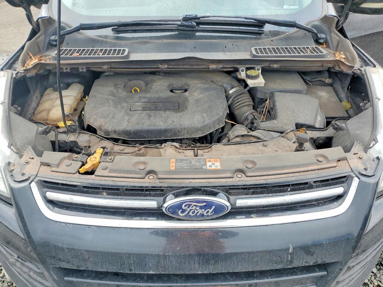 2014 FORD ESCAPE TITANIUM photo 12