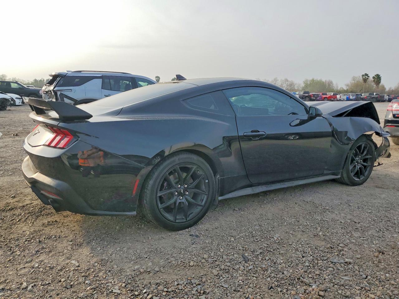 2024 FORD MUSTANG photo 5