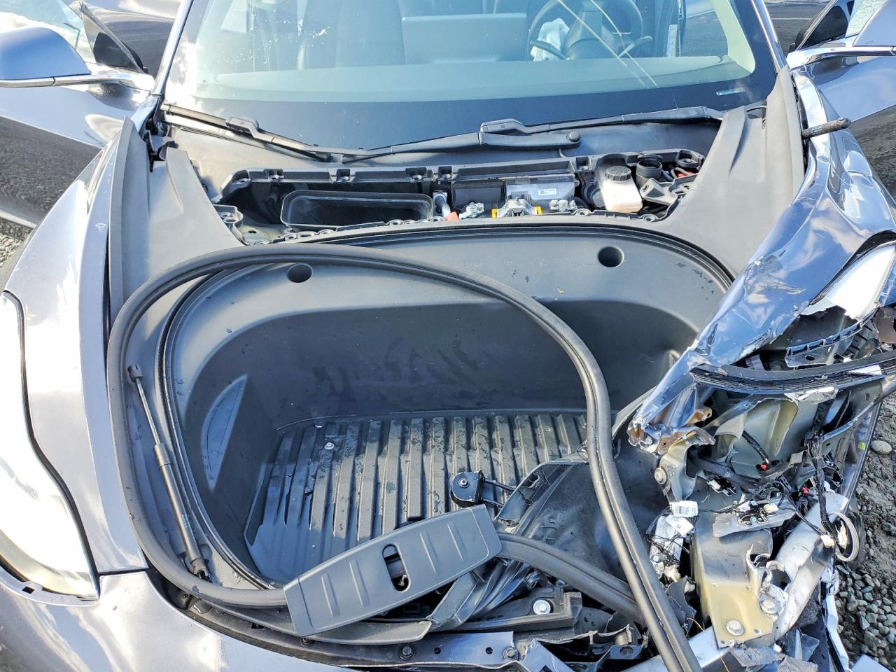 2020 TESLA MODEL 3 photo 12