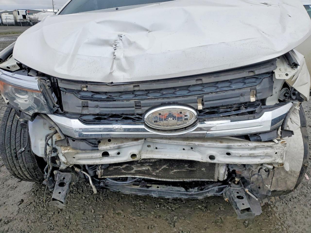 2013 FORD EDGE LIMITED photo 12