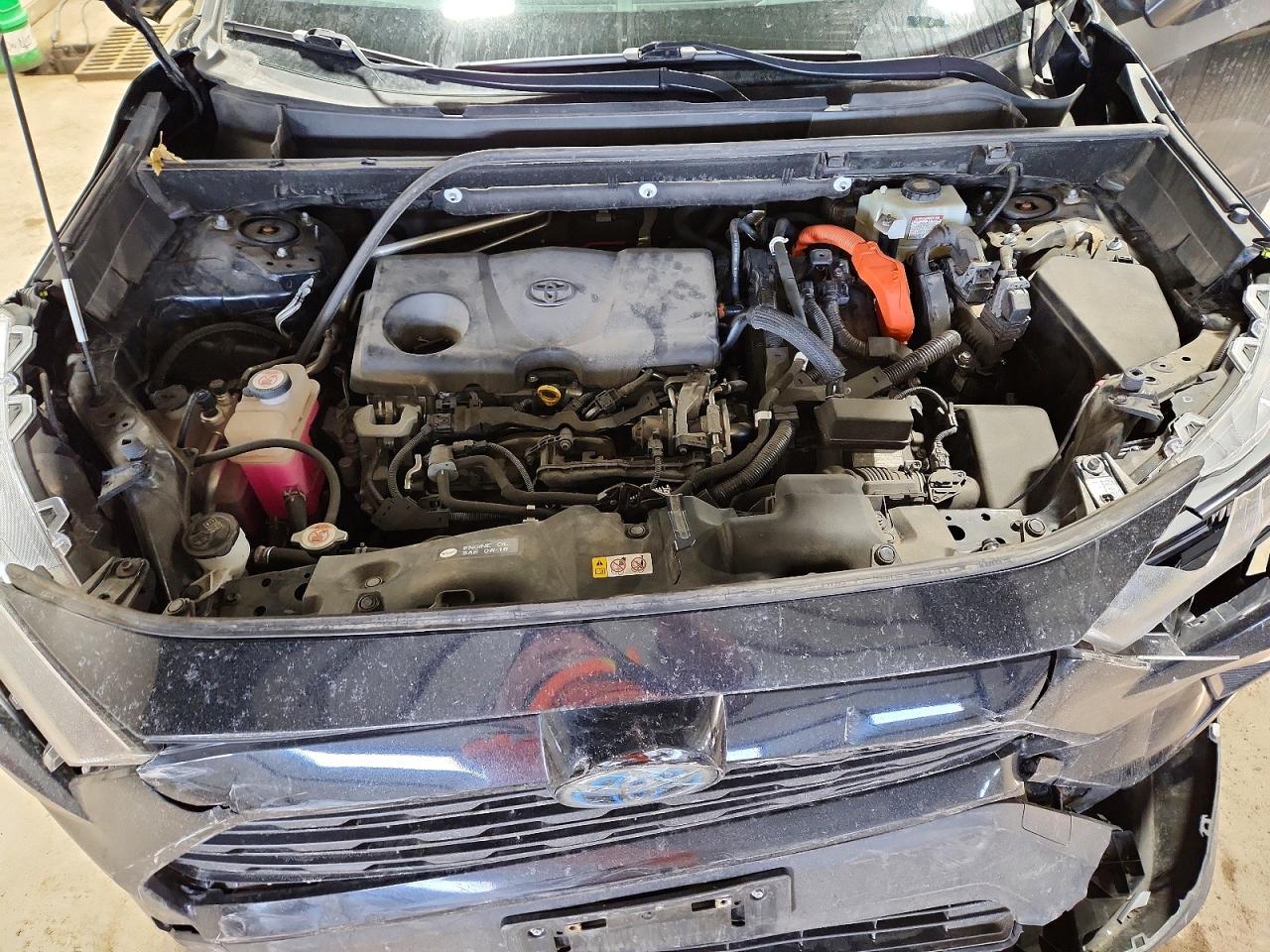 2019 TOYOTA RAV4 LE photo 12