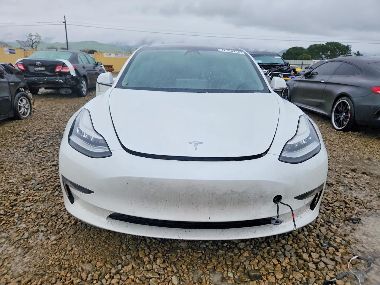 2020 TESLA MODEL 3 photo 5