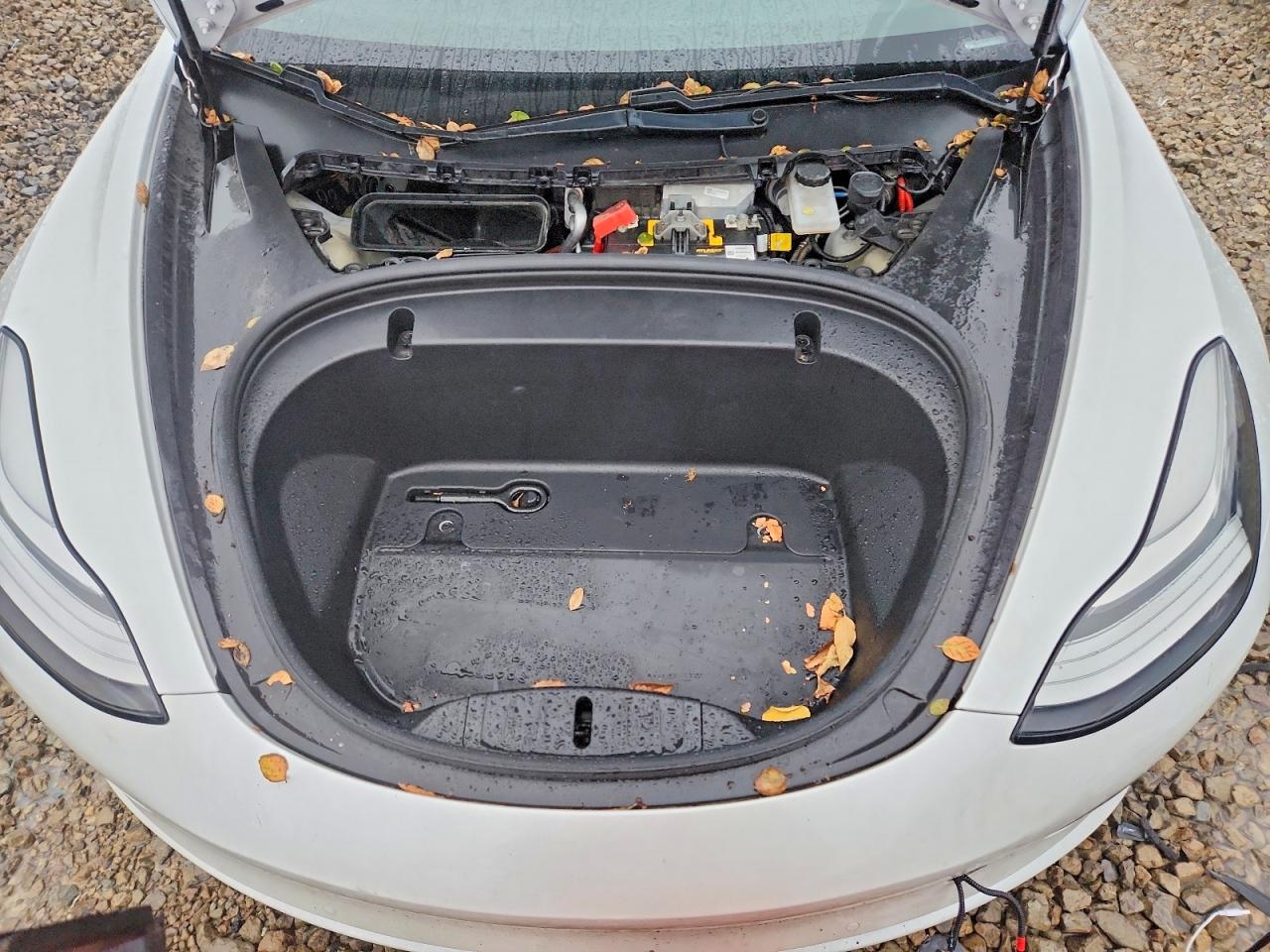 2020 TESLA MODEL 3 photo 11