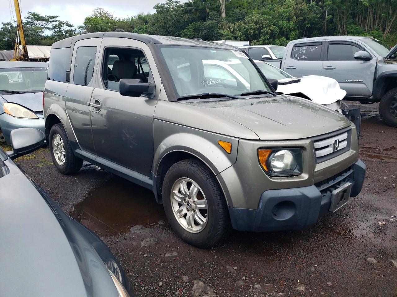 2007 HONDA ELEMENT EX photo 10