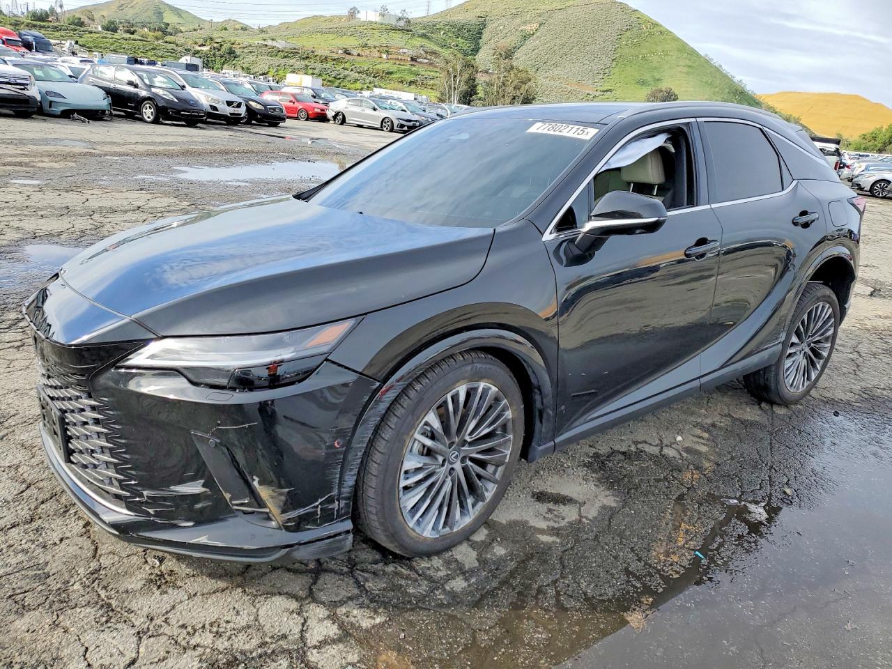 2026 LEXUS RX