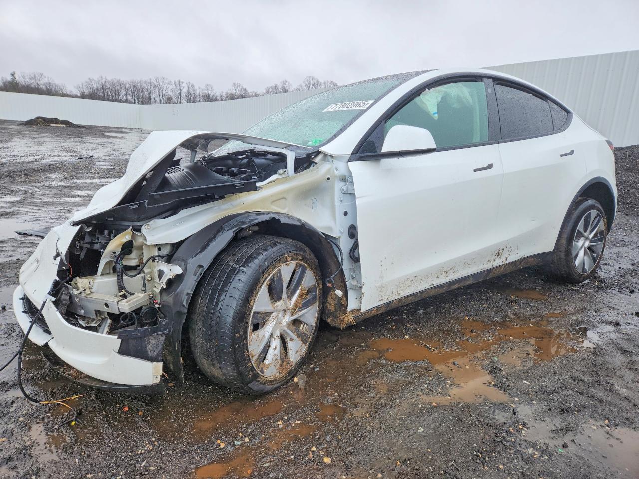 2021 TESLA MODEL Y