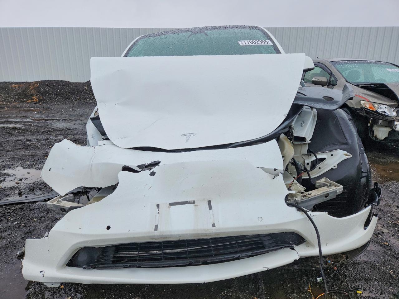 2021 TESLA MODEL Y photo 13