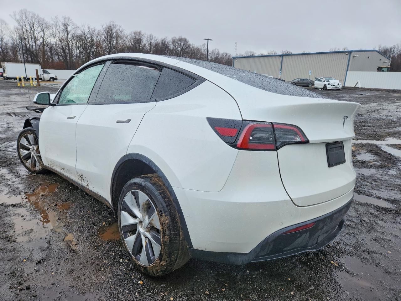 2021 TESLA MODEL Y photo 4