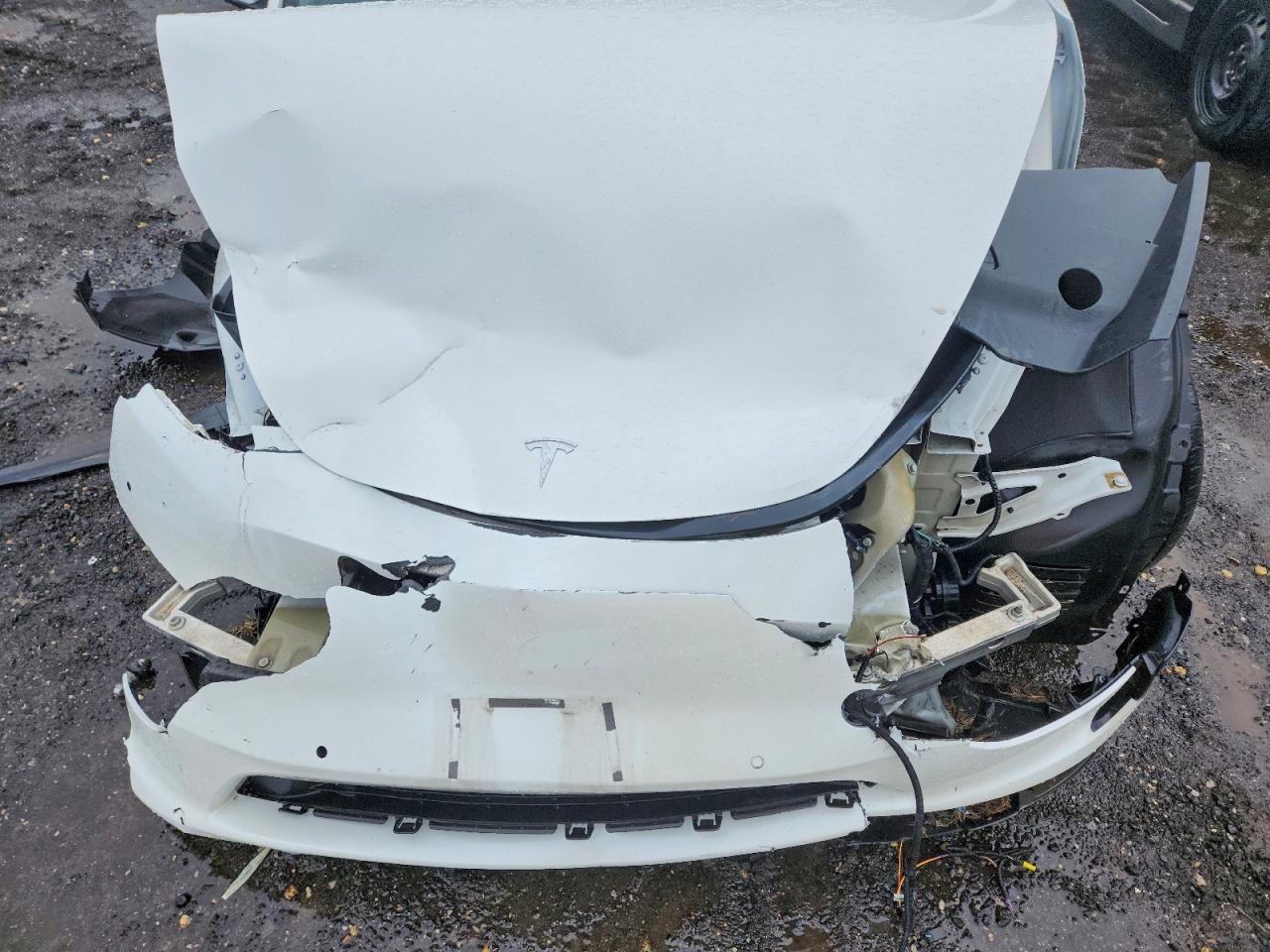 2021 TESLA MODEL Y photo 31