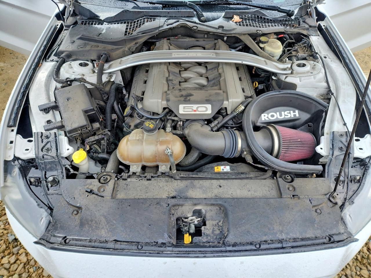 2015 FORD MUSTANG GT photo 11