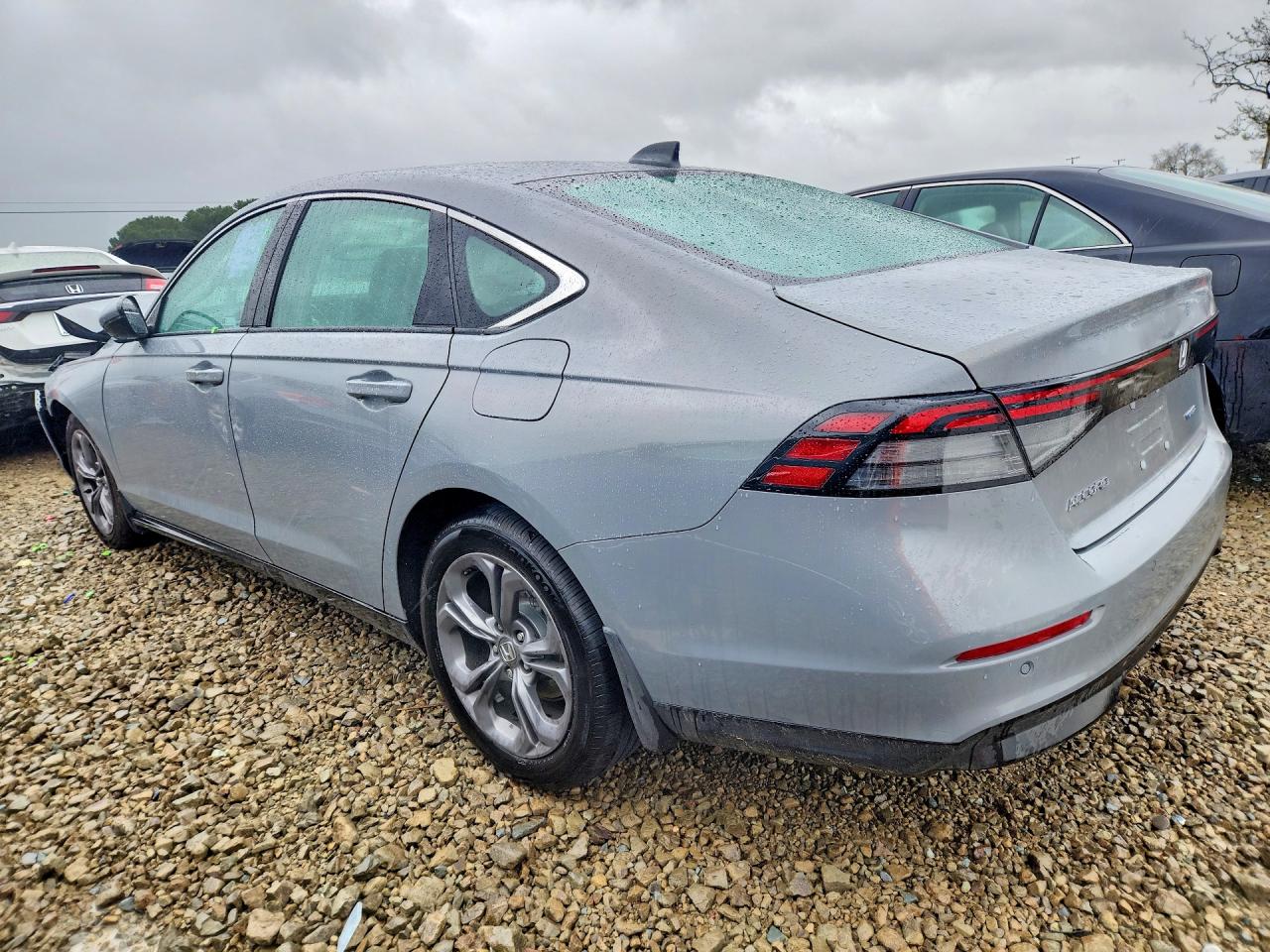 2025 HONDA ACCORD HYBRID EXL photo 4