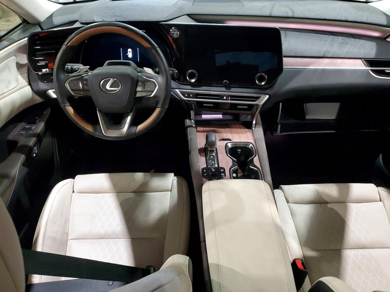 2025 LEXUS RX 450H+ LUXURY photo 8