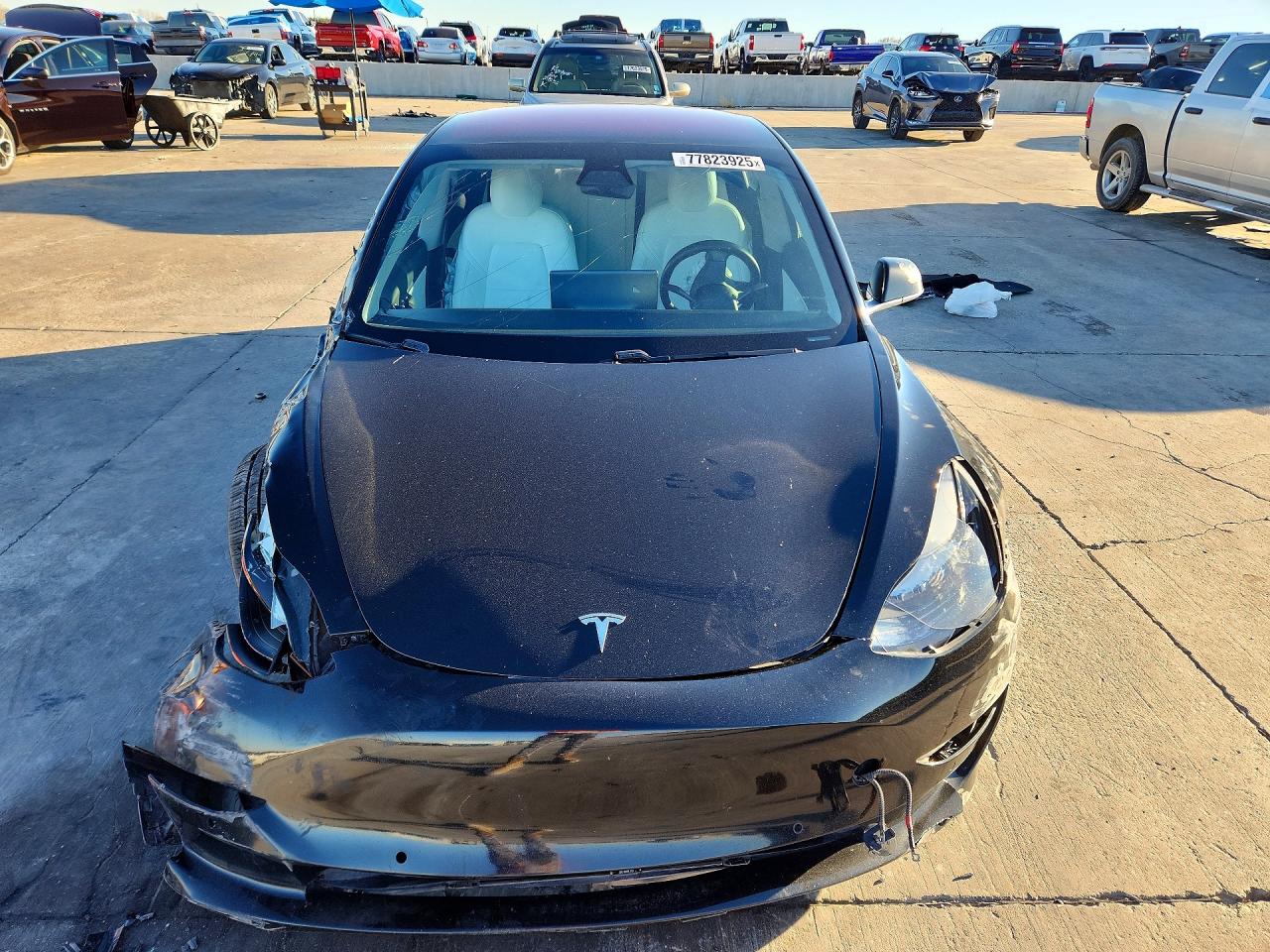2019 TESLA MODEL 3 photo 9