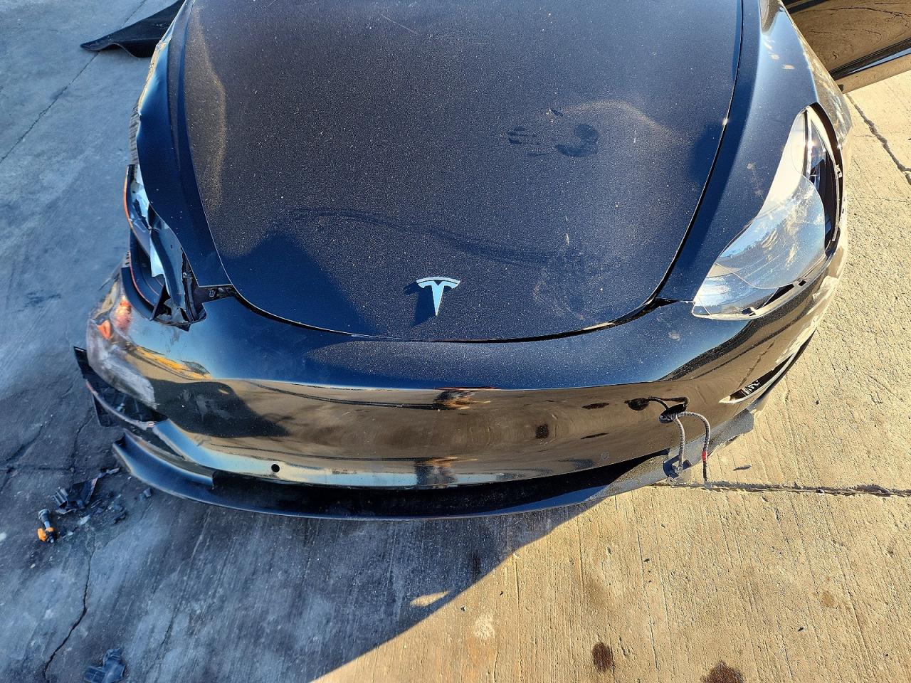 2019 TESLA MODEL 3 photo 21