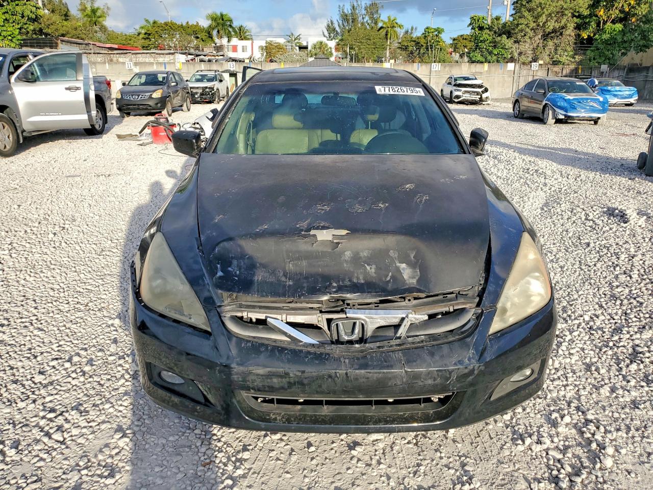 2006 HONDA ACCORD EX photo 5