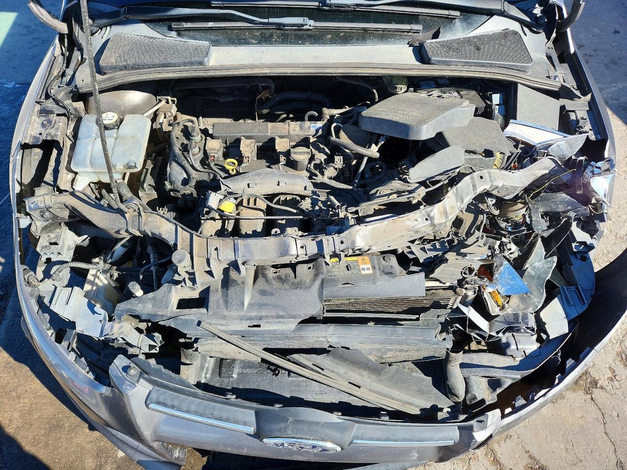 2014 FORD FOCUS SE photo 31