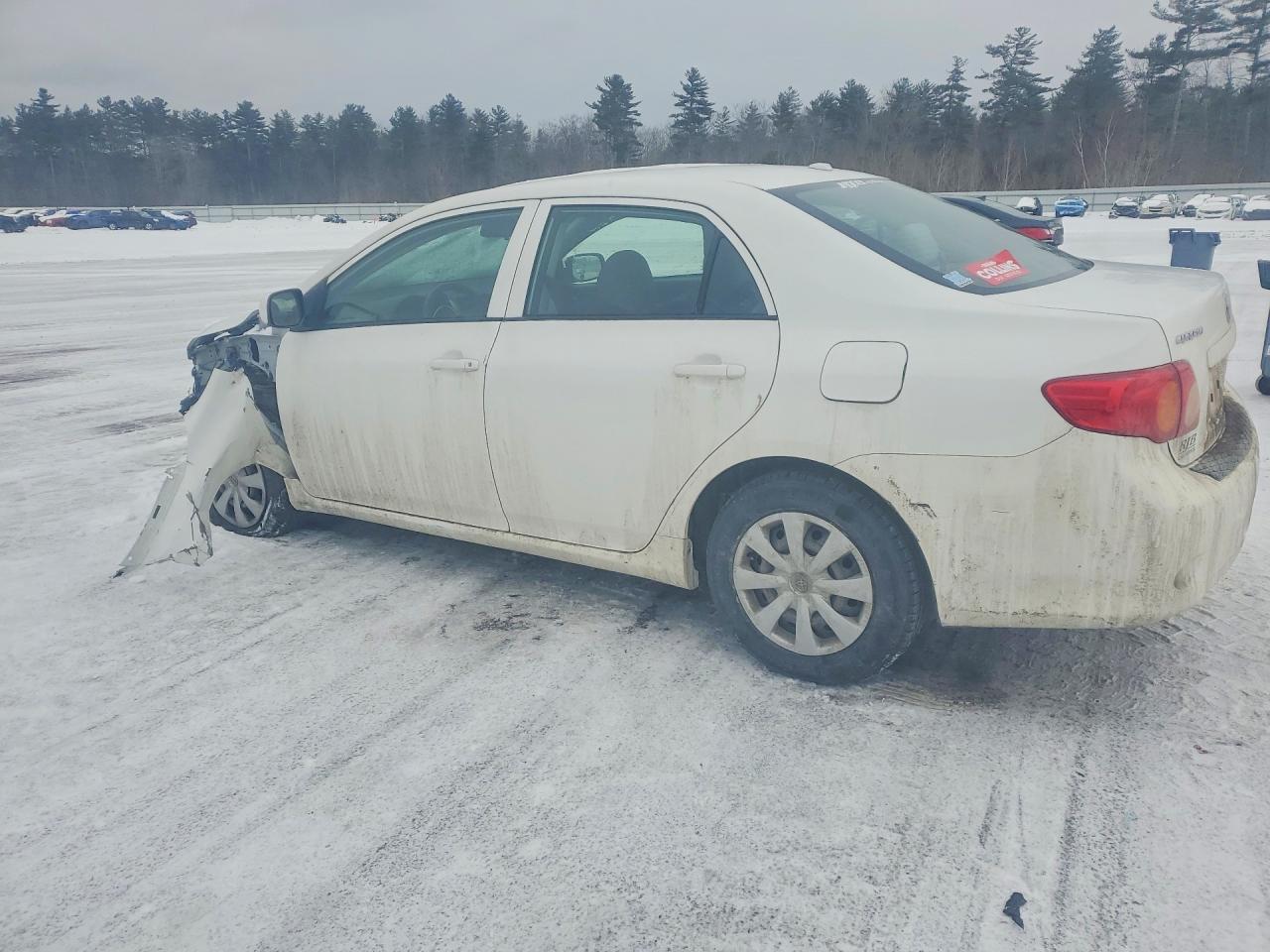2010 TOYOTA COROLLA BASE photo 3