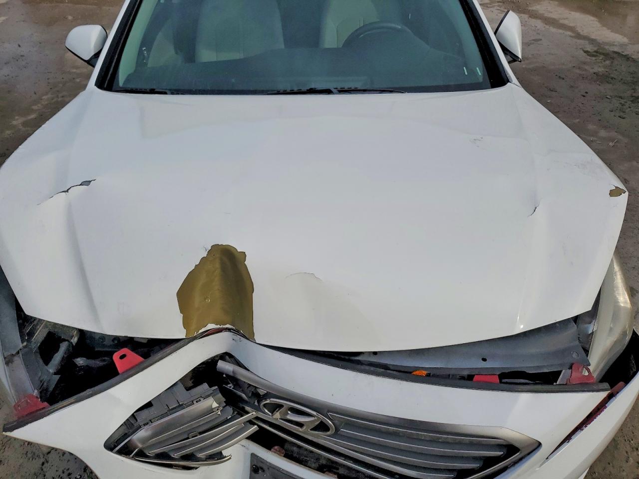 2017 HYUNDAI SONATA BASE photo 11
