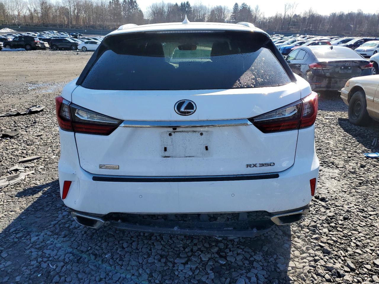 2018 LEXUS RX photo 16