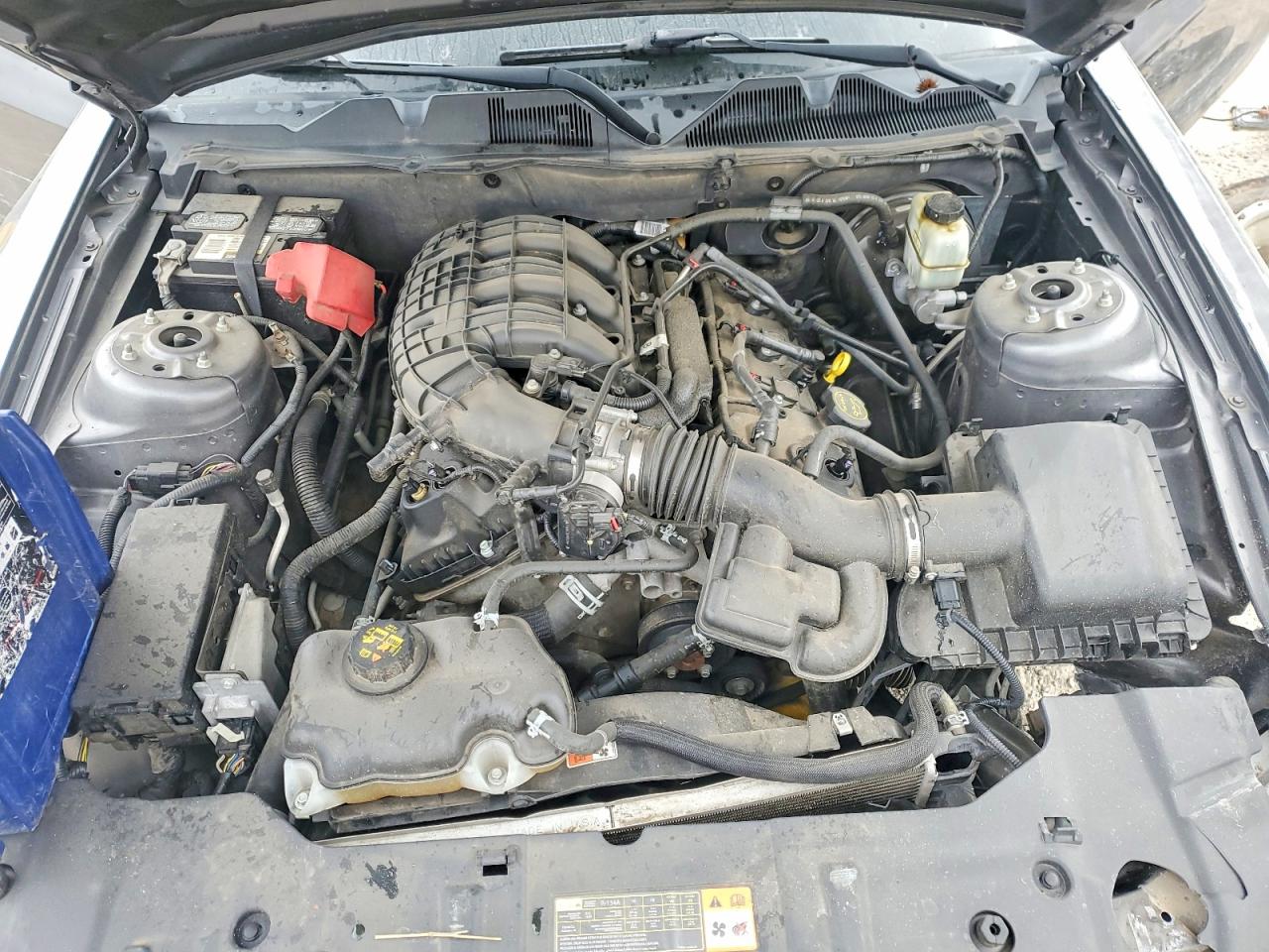 2014 FORD MUSTANG photo 11