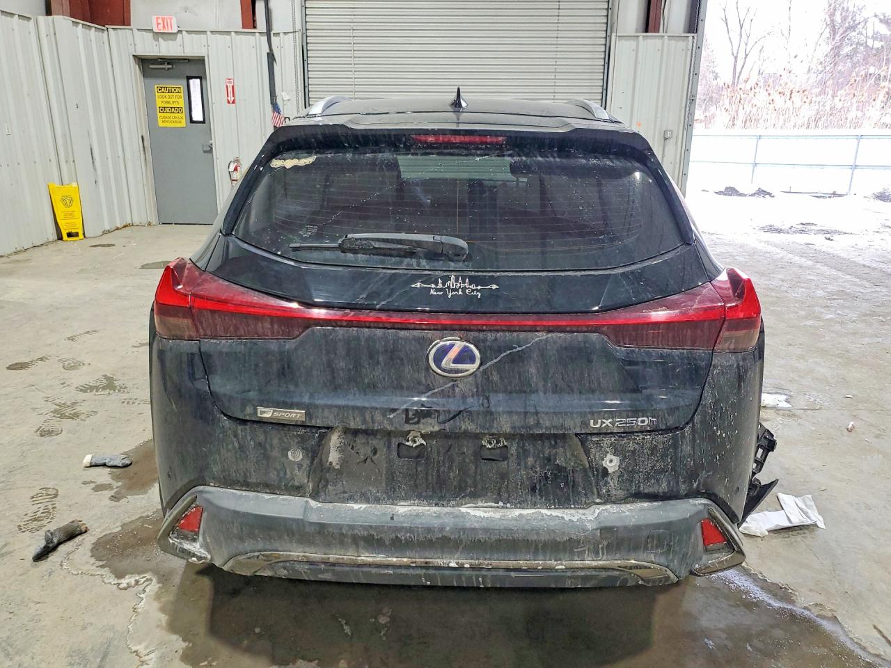 2021 LEXUS UX 250H photo 6
