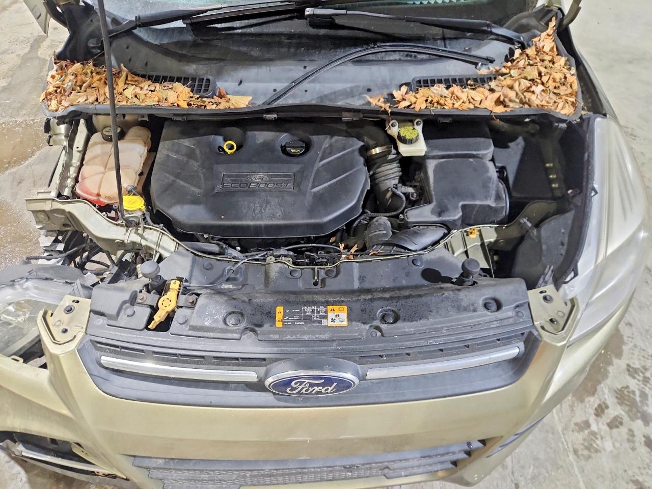 2013 FORD ESCAPE photo 12