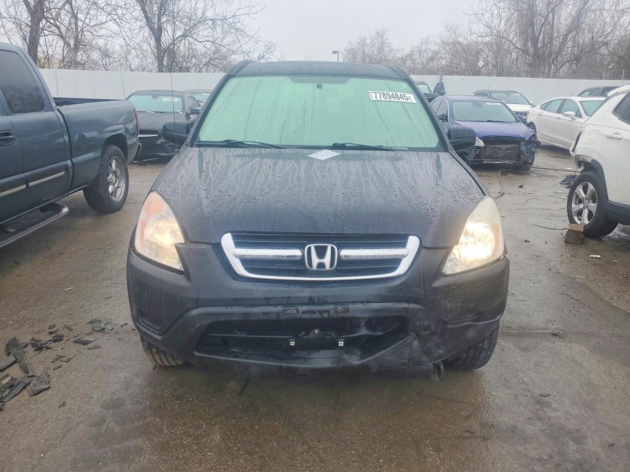 2004 HOND CR-V EX photo 5