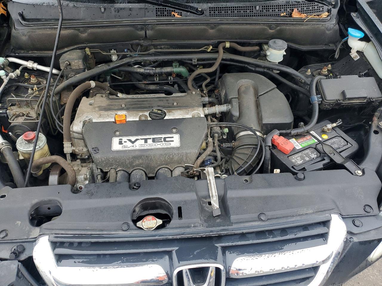 2004 HOND CR-V EX photo 11